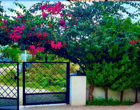 ویلا-نوشهر-مارگیرده