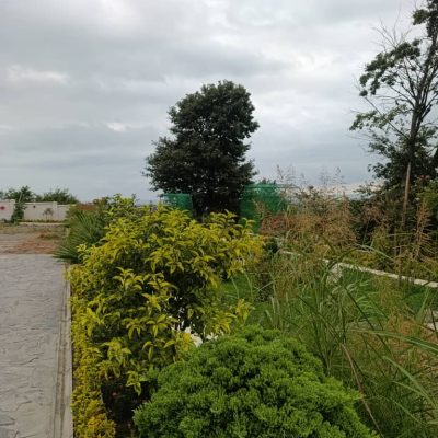 ویلا در چالوس و نوشهر ساحلی