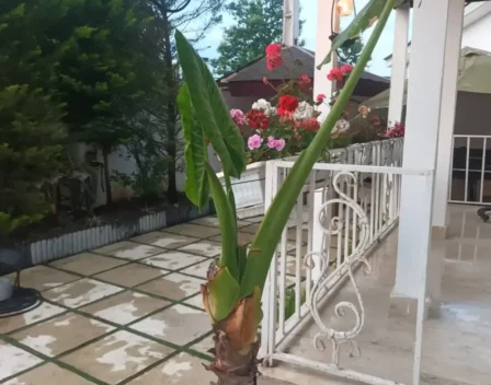 ویلا دوبلکس نوشهر استخردار شهرکی در انارور