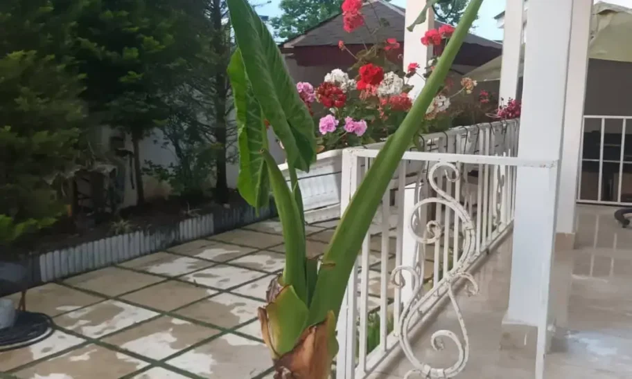 ویلا دوبلکس نوشهر استخردار شهرکی در انارور