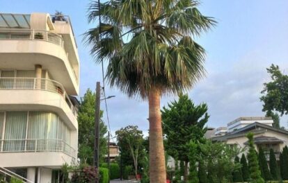 ویلا ساحلی نوشهر شهرک سیکاس