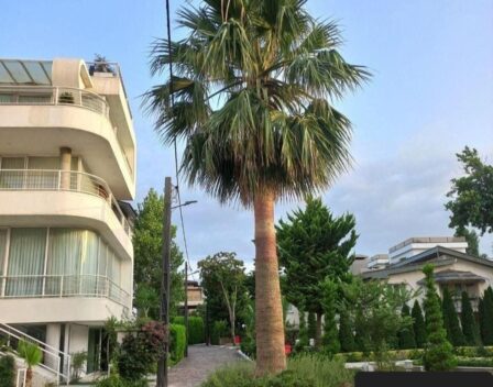 ویلا ساحلی نوشهر شهرک سیکاس