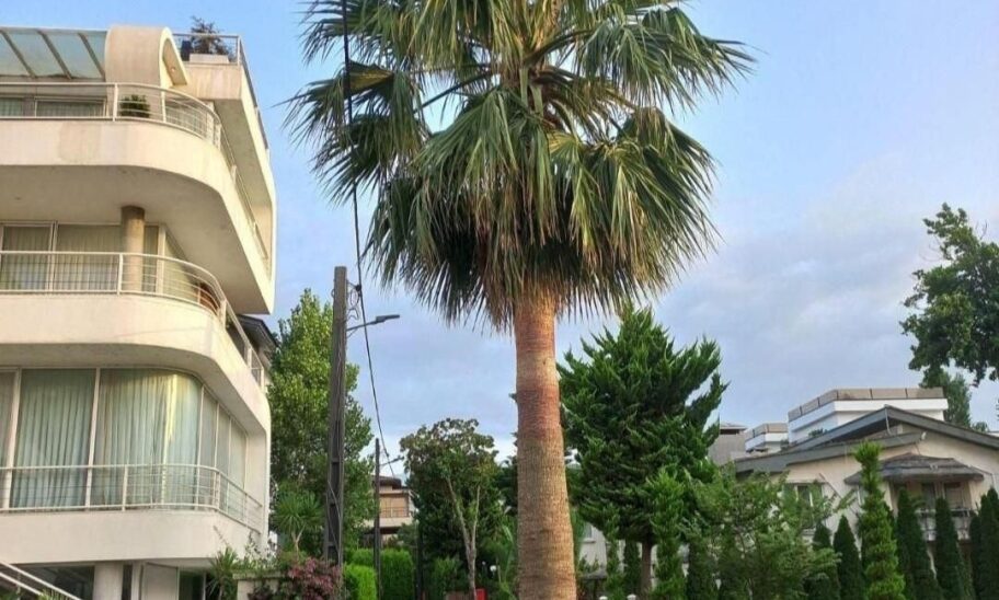 ویلا ساحلی نوشهر شهرک سیکاس