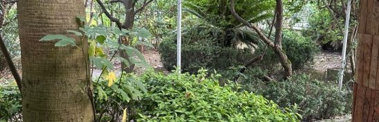 خرید ویلا شهرکی نوشهر چلندر حوضکتی